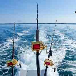 Qu'est-ce qui est semi-rigide pour la pêche en mer?